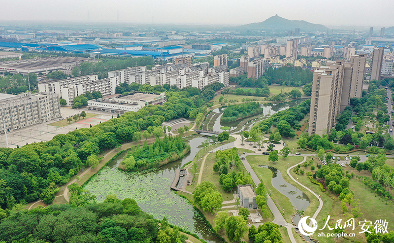 俯瞰蘆塘生態(tài)公園。人民網(wǎng)記者 張俊攝