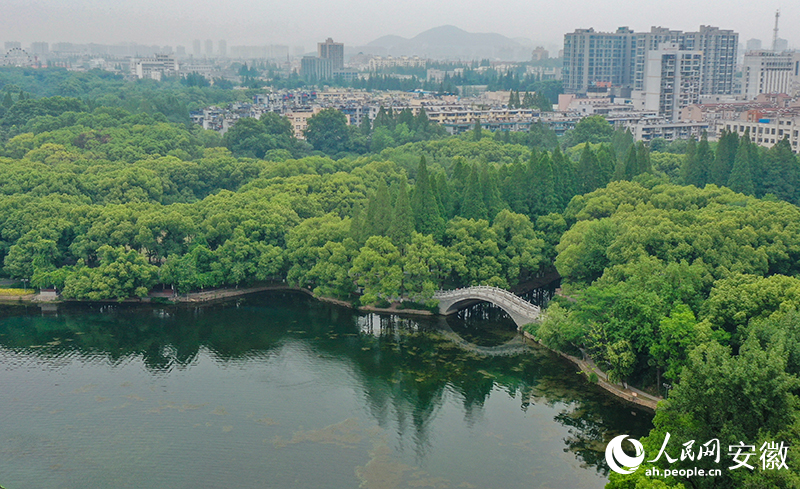 水清岸綠的馬鞍山雨山湖。人民網(wǎng)記者 李希蒙攝